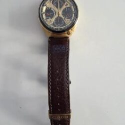 Citizen Promaster - Citizen Promaster